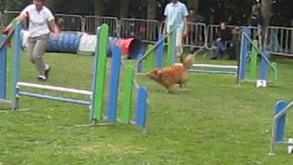 GPF au concours de Ouistreham, juin 2014