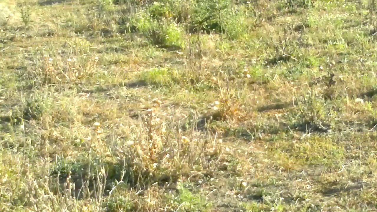 sezona hazırlık