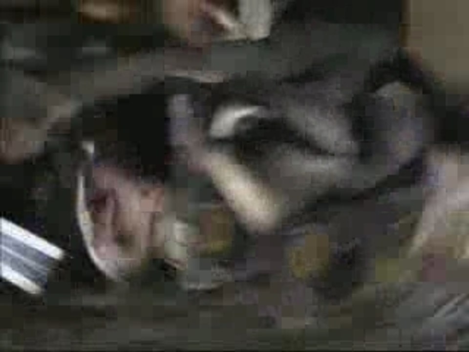 Pub Pepsi Star Wars Episode I  1999