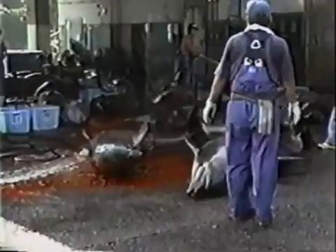 Earthlings - Terrícolas (subtítulos en español)