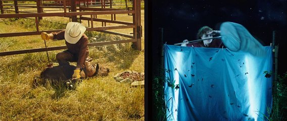 El extraordinario viaje de T.S. Spivet - Tráiler Español [480p]