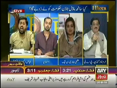 11th Hour - 30 June 2014 - Kya Saniha Model Town Hukumat Ko Le Doobe Gah