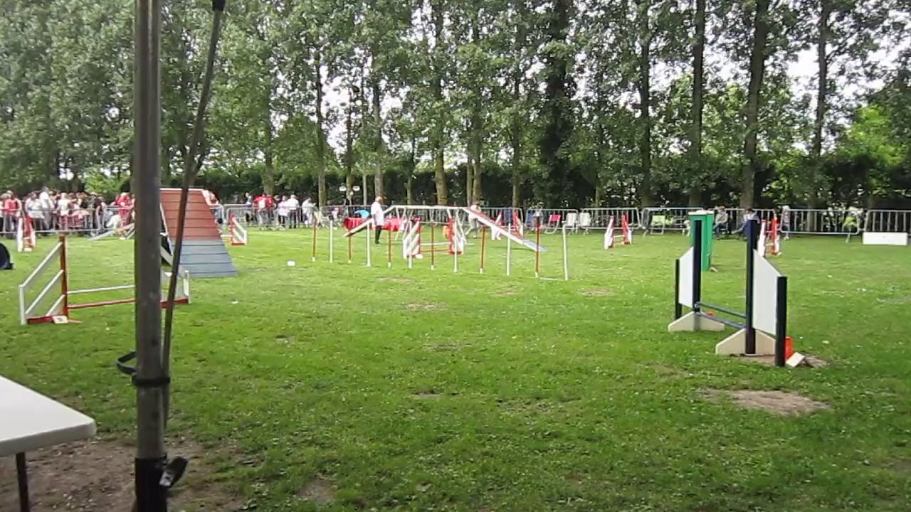 Open Lupo concours de Ouistreham juin 2014