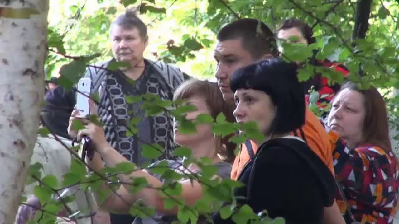 Ukraine-Krise: Bemühen um Waffenruhe | Journal