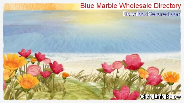 Blue Marble Wholesale Directory Reviewed (Legit Review)