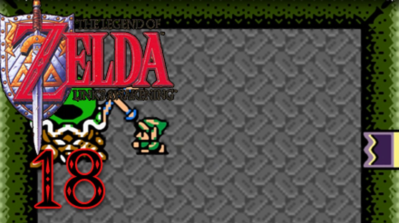 German Let's Play: The Legend of Zelda - Link's Awakening, Part 18, 'Die Rote Robe'