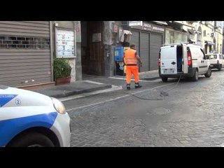 Aversa (CE) - Interventi di deblattizzazione (02.07.14)