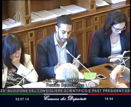 Roma - Nuovi scenari geopolitici, audizione consigliere Silvestri (02.07.14)