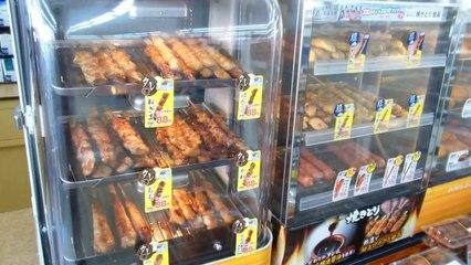 Quality Yumminess from Japanese Conenience Store!