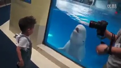 Balinadan korkan çoçuk