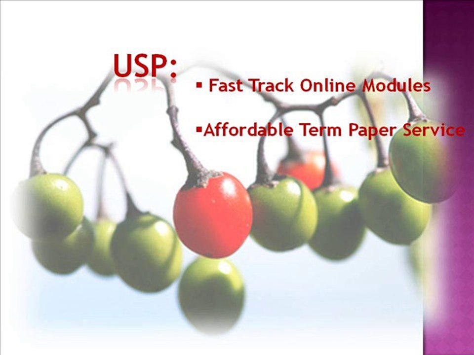 Term Paper Writing Service