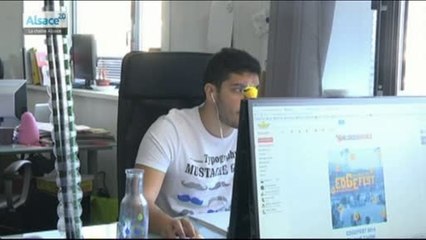 Edge Fest, la plage digitale et cultures numériques