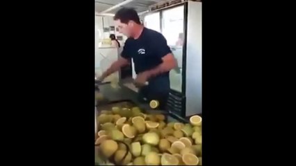 Gerçek Fruit Ninja
