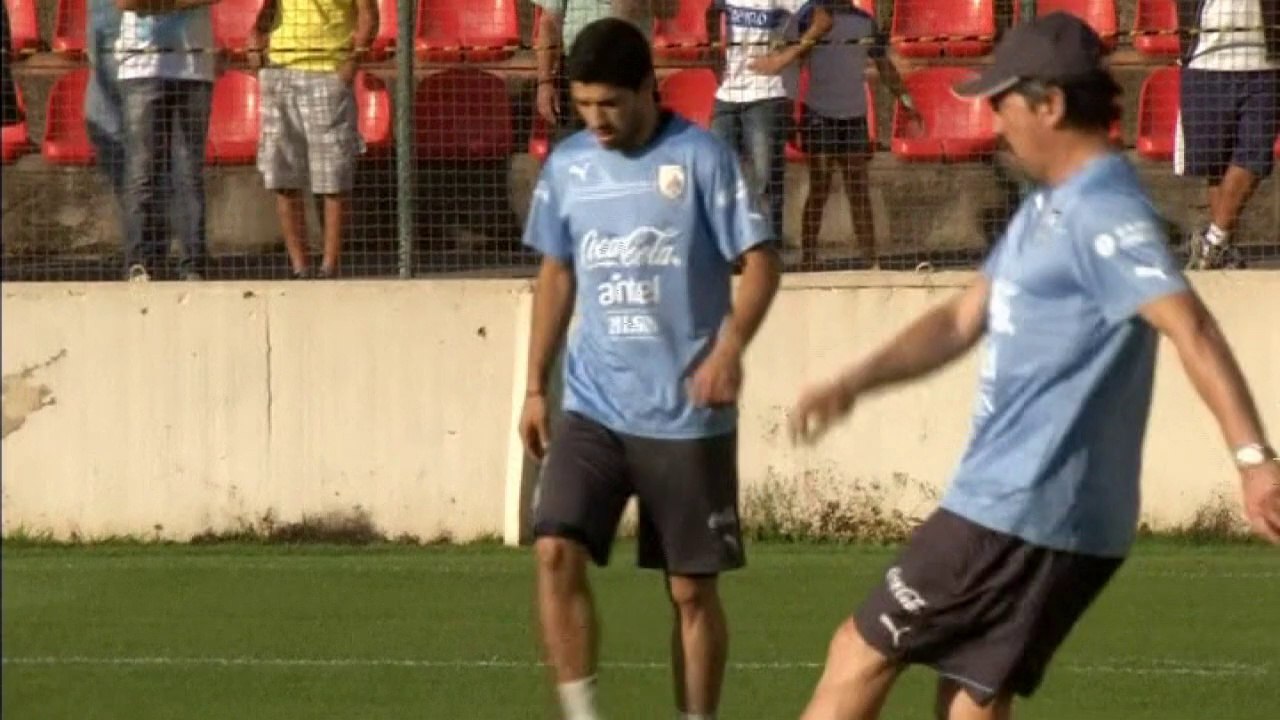 Luis Suarez apologises to Giorgio Chiellini for bite