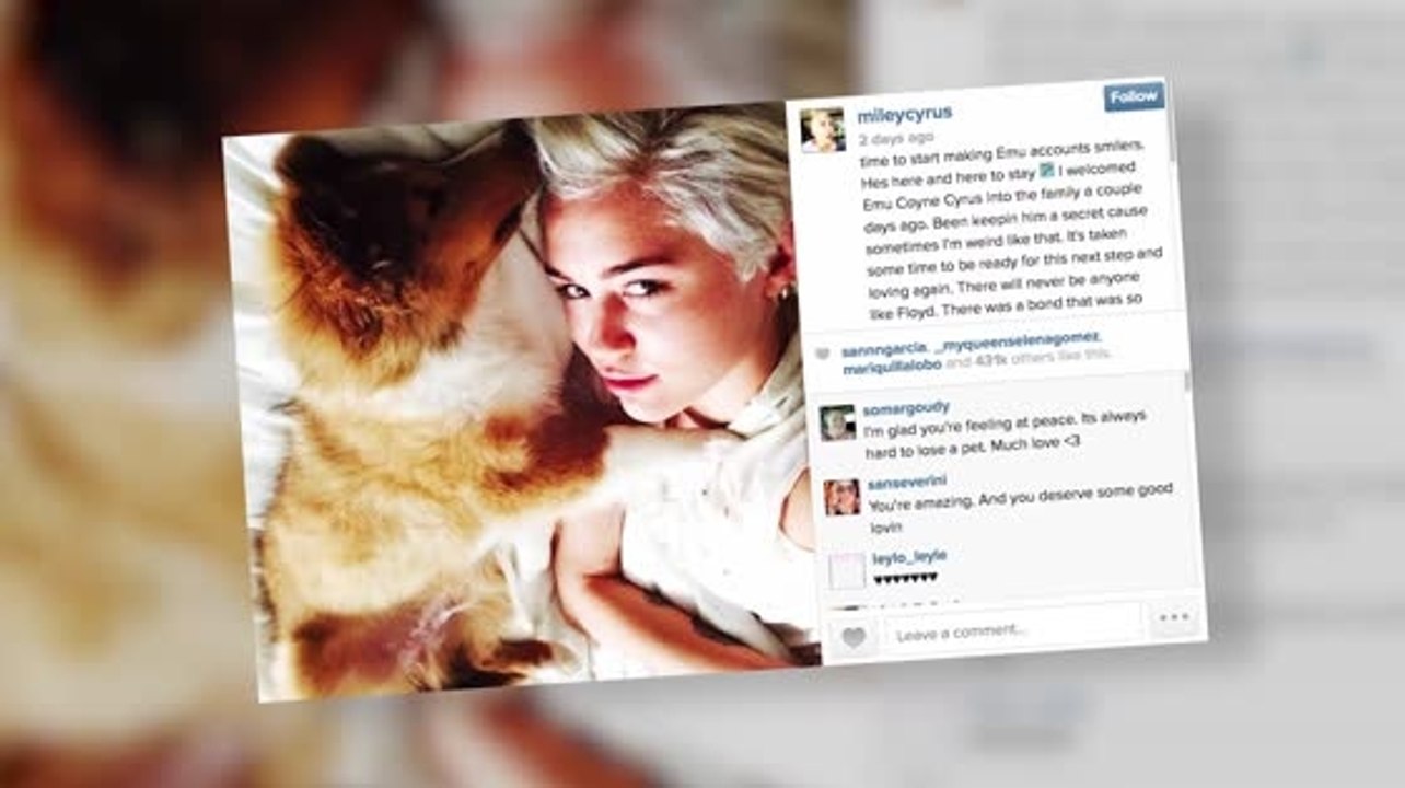 Miley Cyrus hat eine neue Liebe gefunden