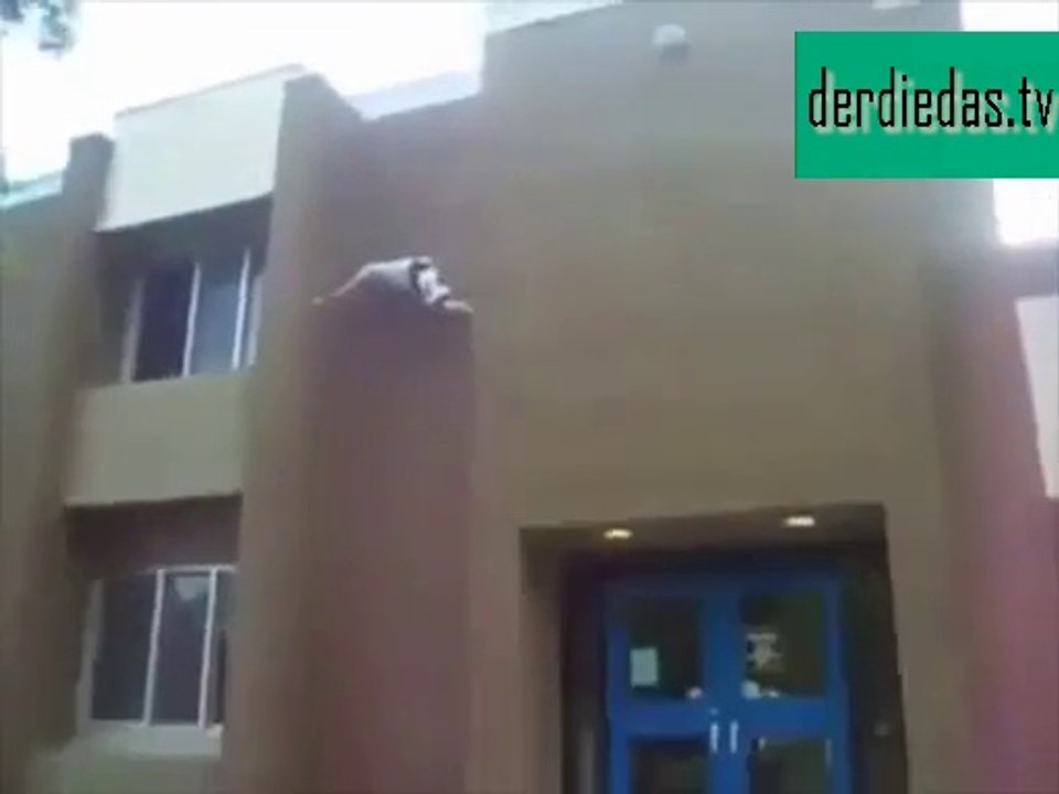 Spiderman in Sicht… Schafft er es hoch? Schau weiter