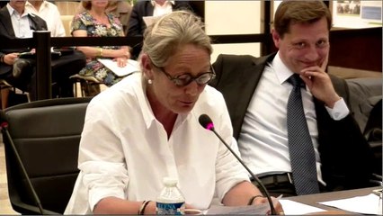 Conseil du 26 juin 2014 - Mise au point sur le vote des subventions