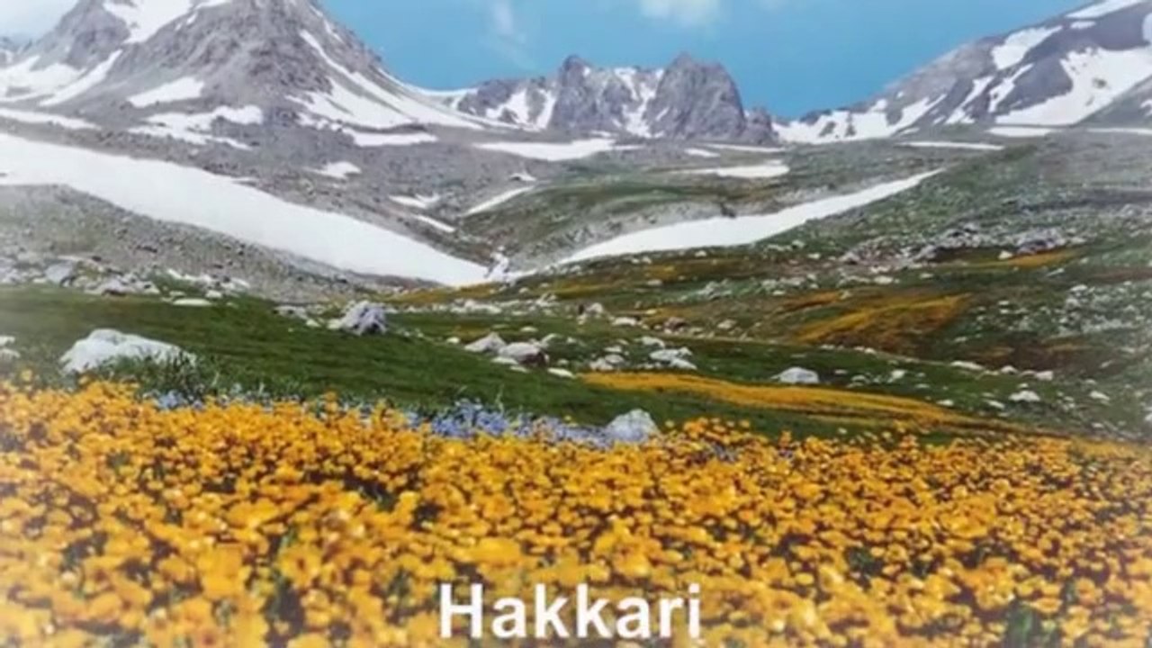 AK Parti'nin seçim şarkısı