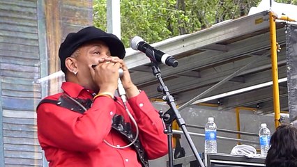 Chicago Blues Festival on 6-15-14 @ 5:39 PM