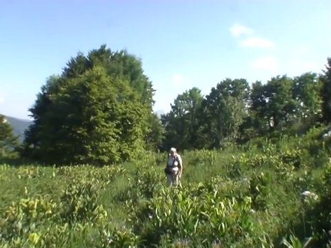 Mont Charvet 1572 m du Lindar – Aillon-le-Jeune 73340