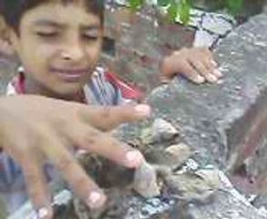 Kutty Da Kima - Watch & Enjoy! 🎉