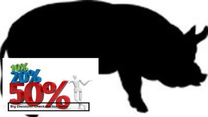 Best Deals Young Pig Stencil - 8 inch (at longest point) - 10 mil medium-duty Review