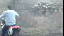 Video 3