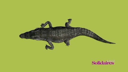 Les Capitalistes nous coûtent cher !