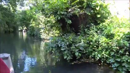 Balade en barque sur la Lauch