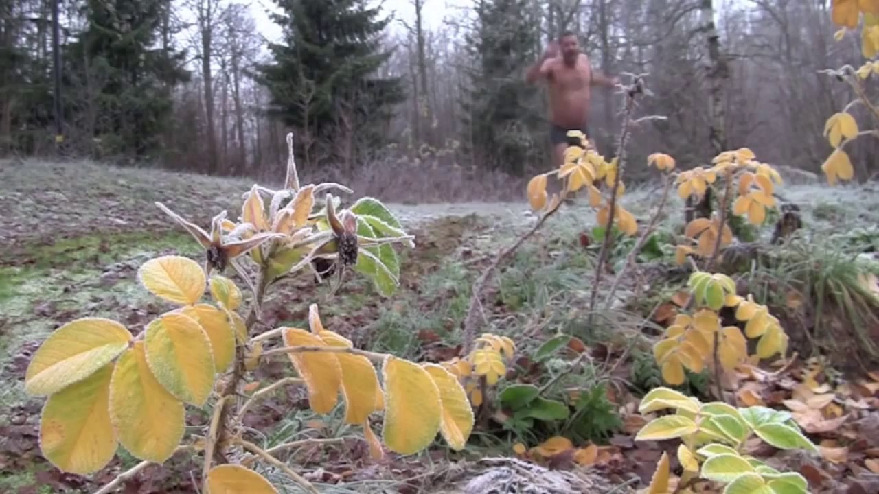 Autumn 2013