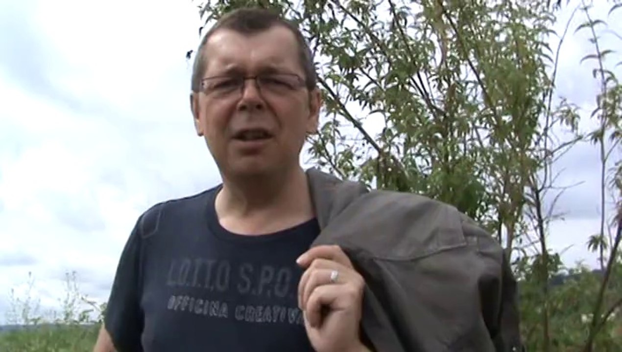 Jack Russel  Ibis, 8 mois super chien