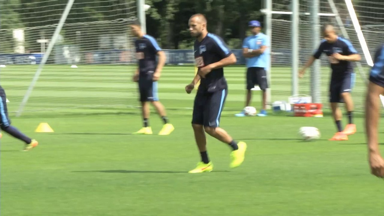 Erfahrener Leitwolf: Heitinga als 'Kobi-Ersatz'