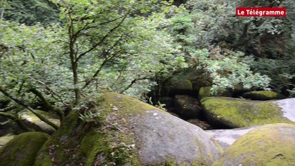 Festival des lieux mouvants. Dernière journée à Lanrivain