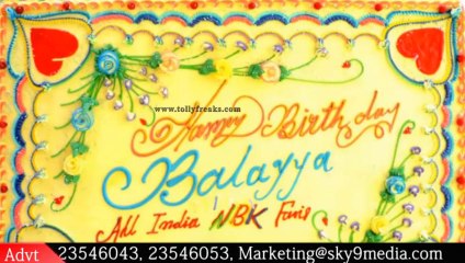 Hindupur MLA Yuvaratna NandamuriBalakrishna Birthday Celebrations