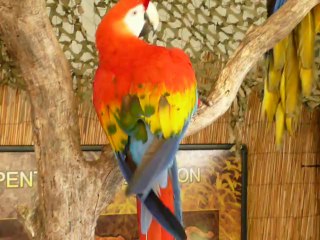 ALAMEDA COUNTY FAIR 2014. 06