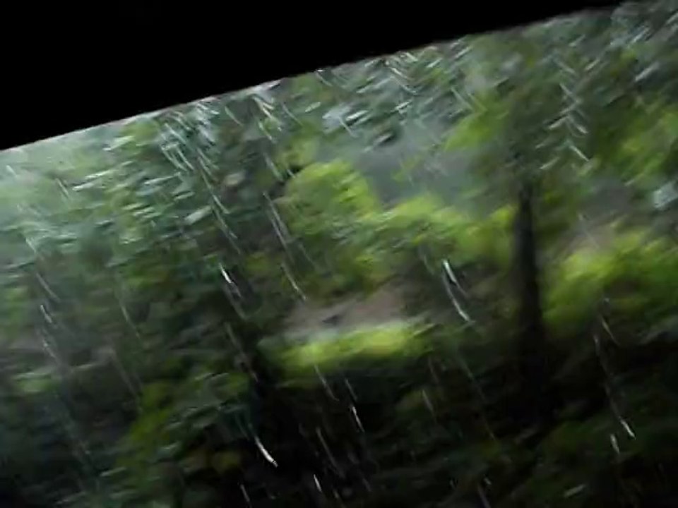 Heaviest rain yet!