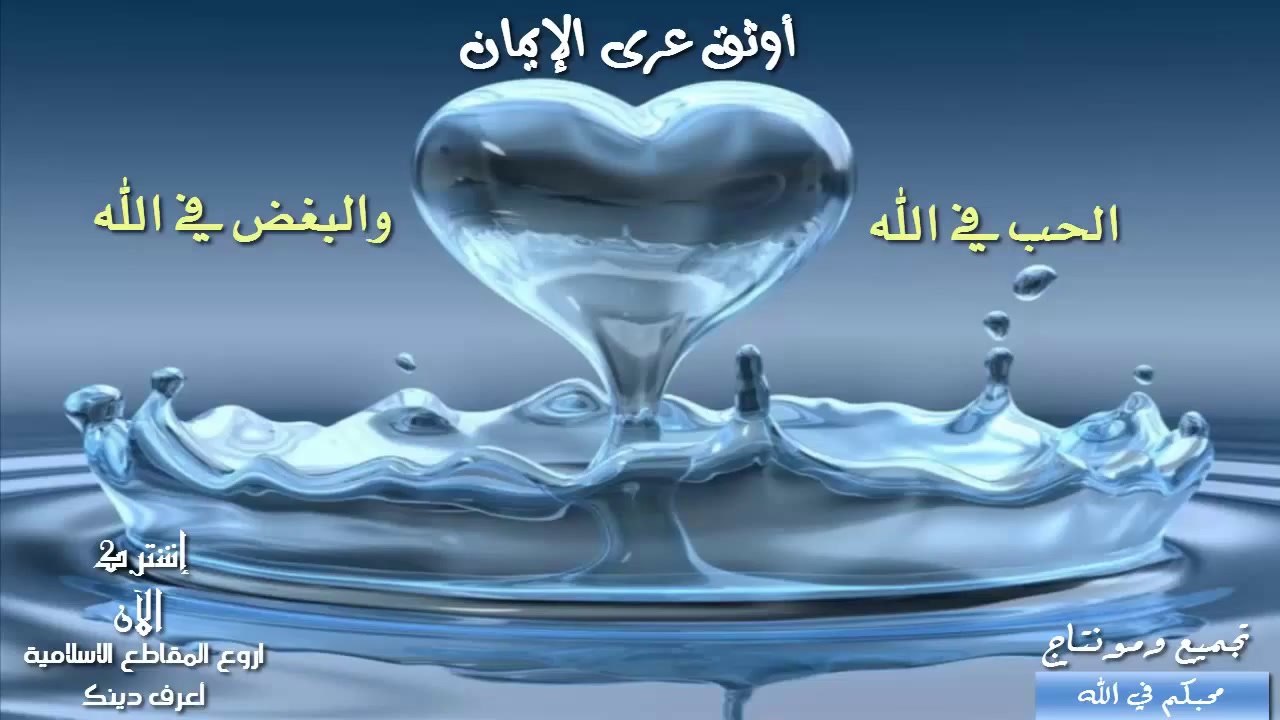 المحبة في الله تعالى أوثق عرى الإيمان   اشهد الله اني احبكم في الله