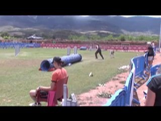 Planet Dog's Gotor Cup