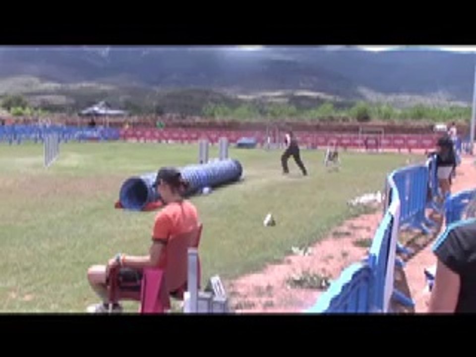 Planet Dog's Gotor Cup