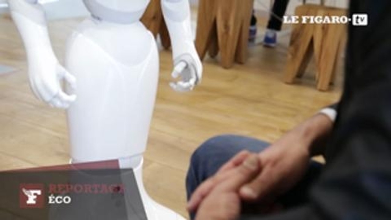 Rencontre avec Pepper, dernier né des robots d'Aldebaran