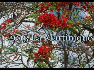 2014 Mon blog de voyages 20 000e visiteur