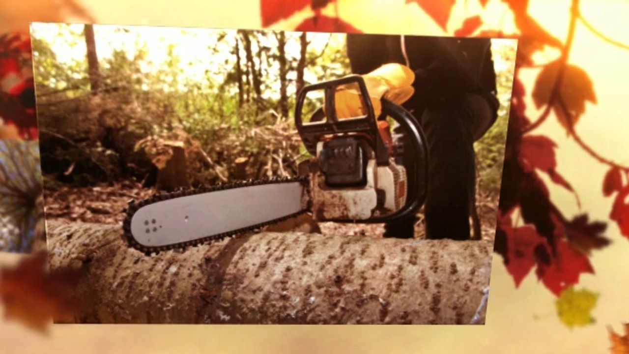 Slabach Logging - (260) 585-0412