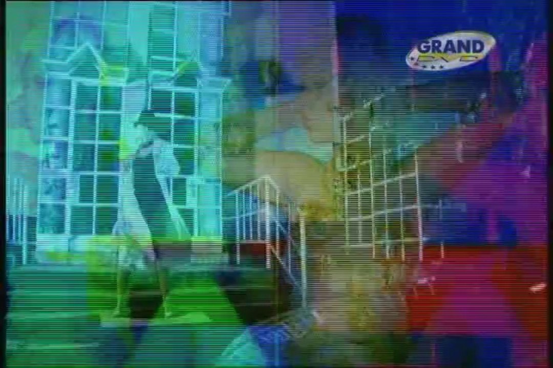 Dara Bubamara - Vero nevero