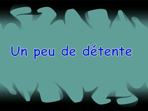 CHIENS DÉTENTE PROMENADE