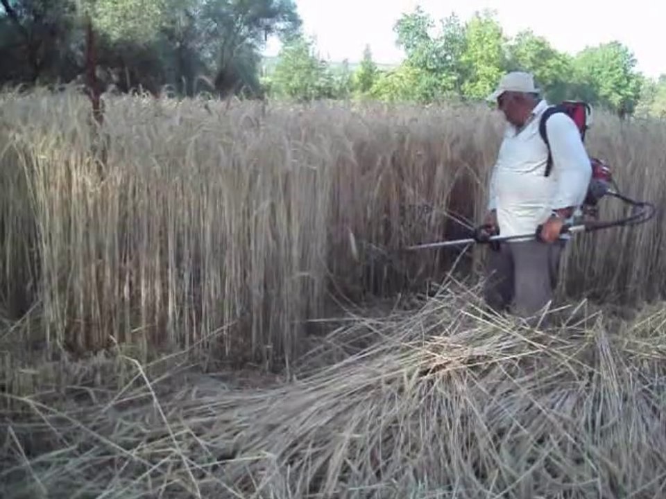 MOTORLU TIRPAN