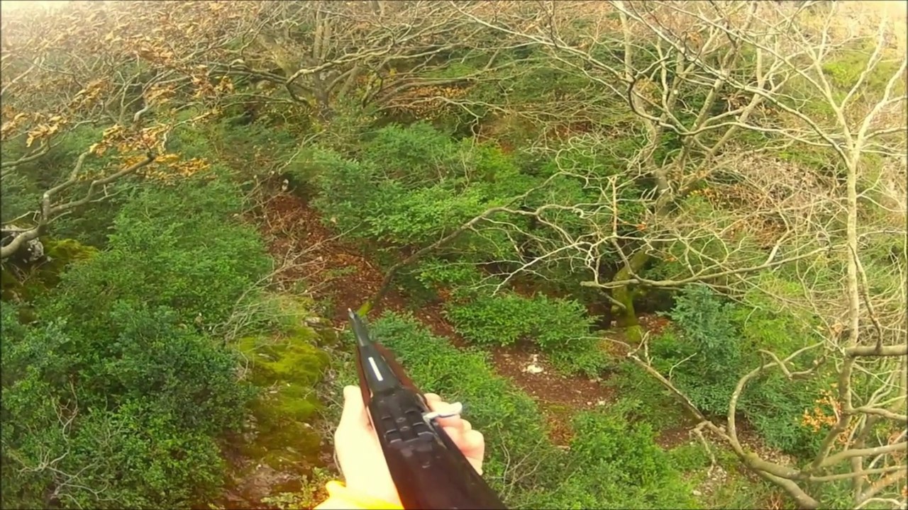 Chasse aux sanglier, joli loupé!!