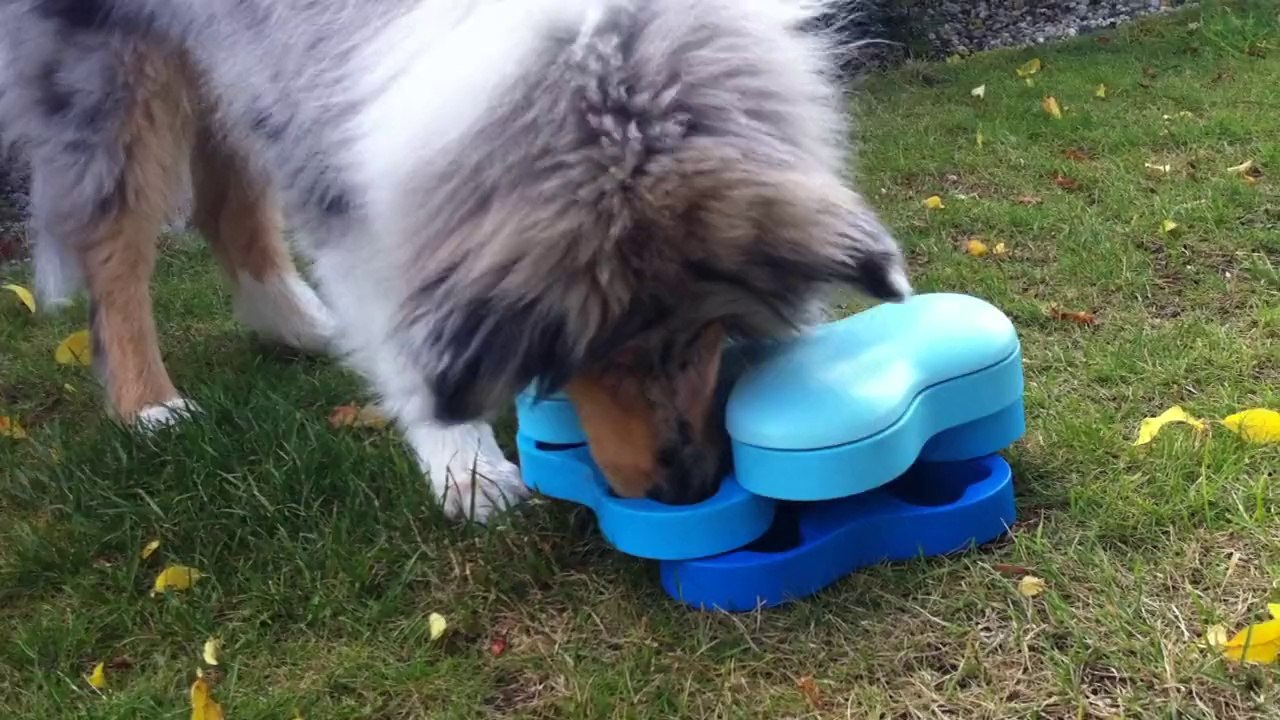 Bibi avec un puzzle
