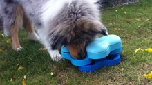 Bibi avec un puzzle