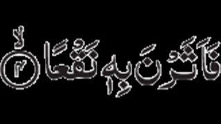 100- Surah Adz-zariyaat
