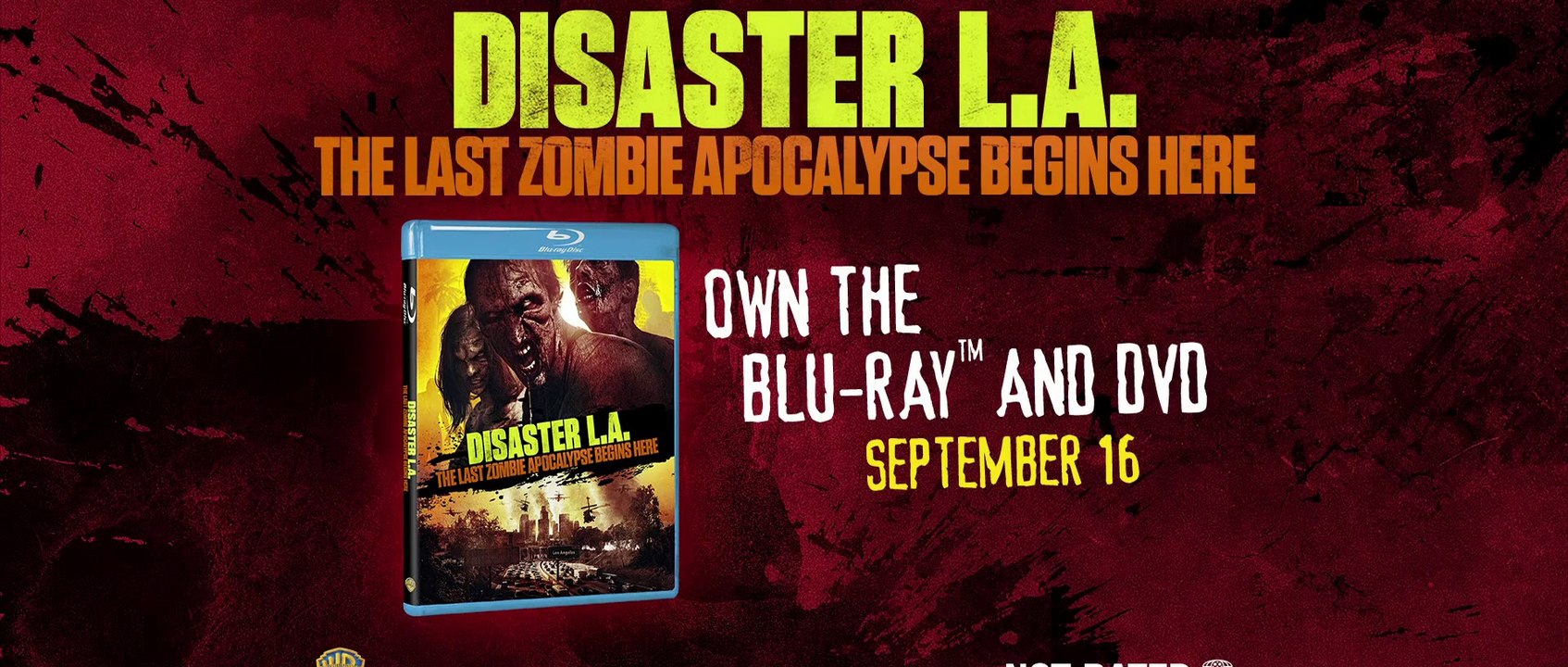 Disaster LA